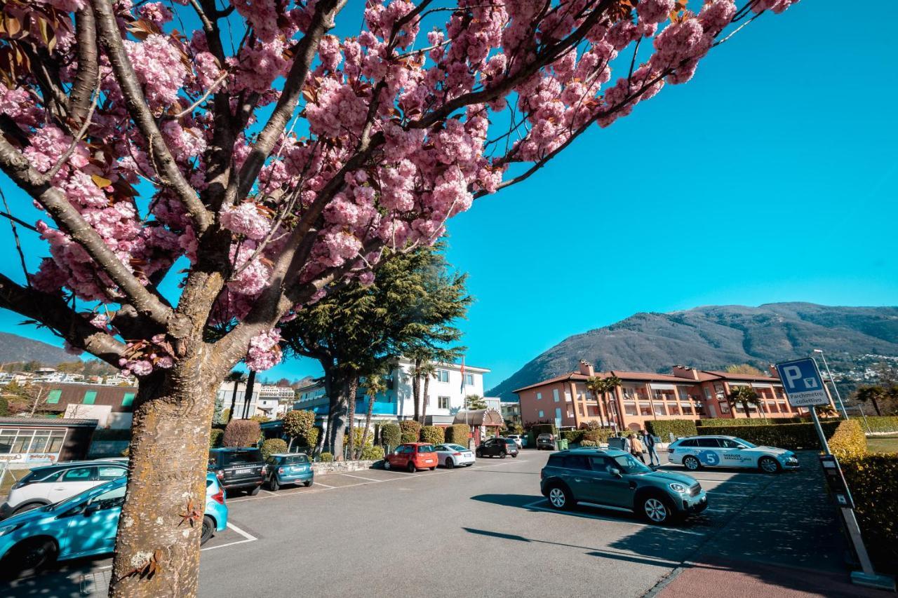 Ascona Lodge, Pool & Garden Retreat Dış mekan fotoğraf